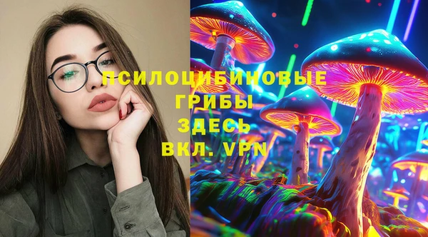прущие крисы Абинск