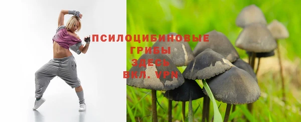 эйфоретик Рославль