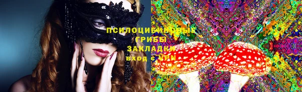 прущие грибы Абдулино