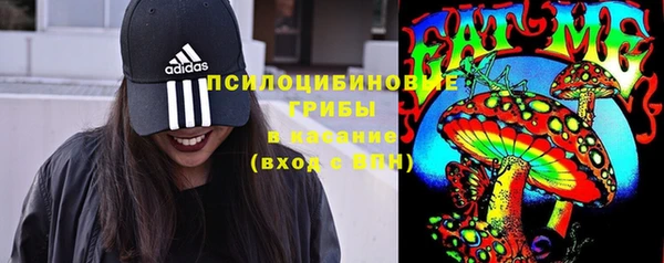 прущие крисы Абинск